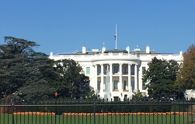 white-house