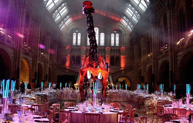 Natural History Museum interior