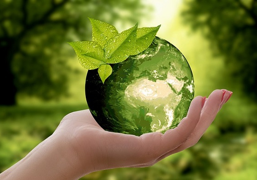 Holding a sustainable ball