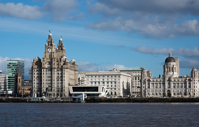 LIver Birds