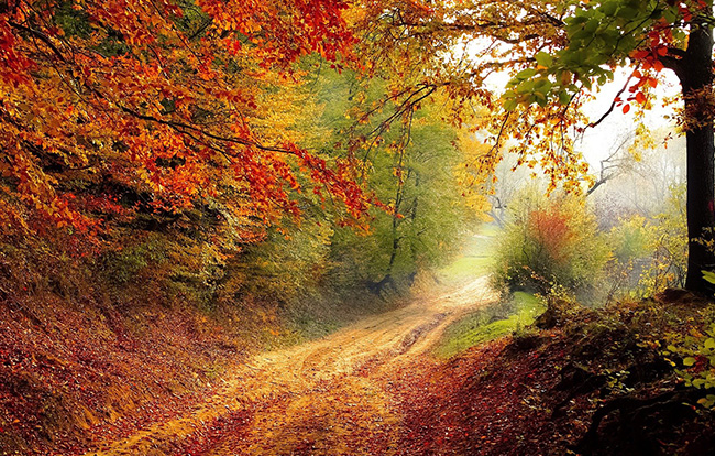 Get outside
